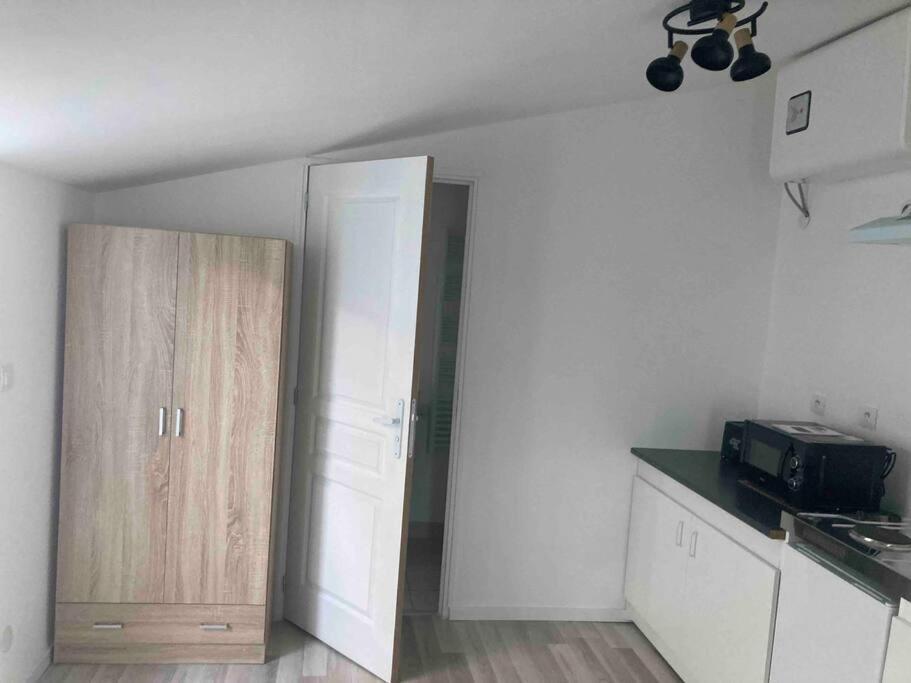 Maisonnette Neuve Avec Jardin Privatif サラン エクステリア 写真